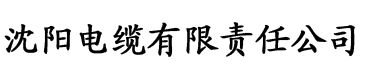 公交车上猛烈进攻电缆厂logo